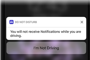 Image of Driving Focus passenger disable option