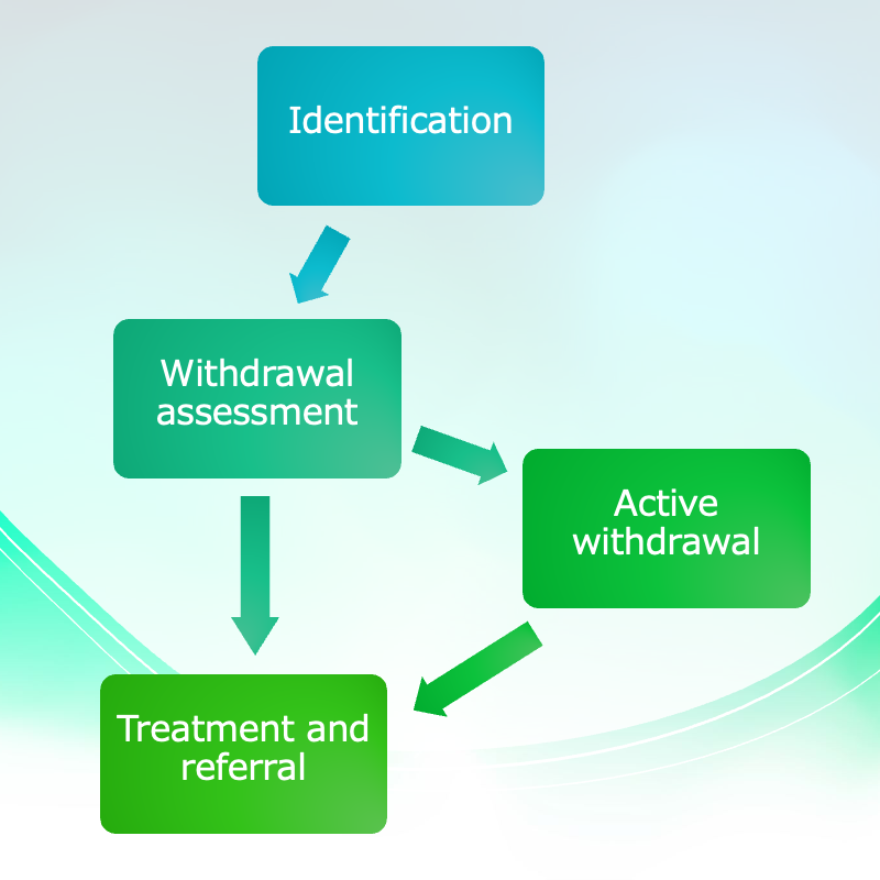 Simplified flowchart showing major steps in opioid screening protocol